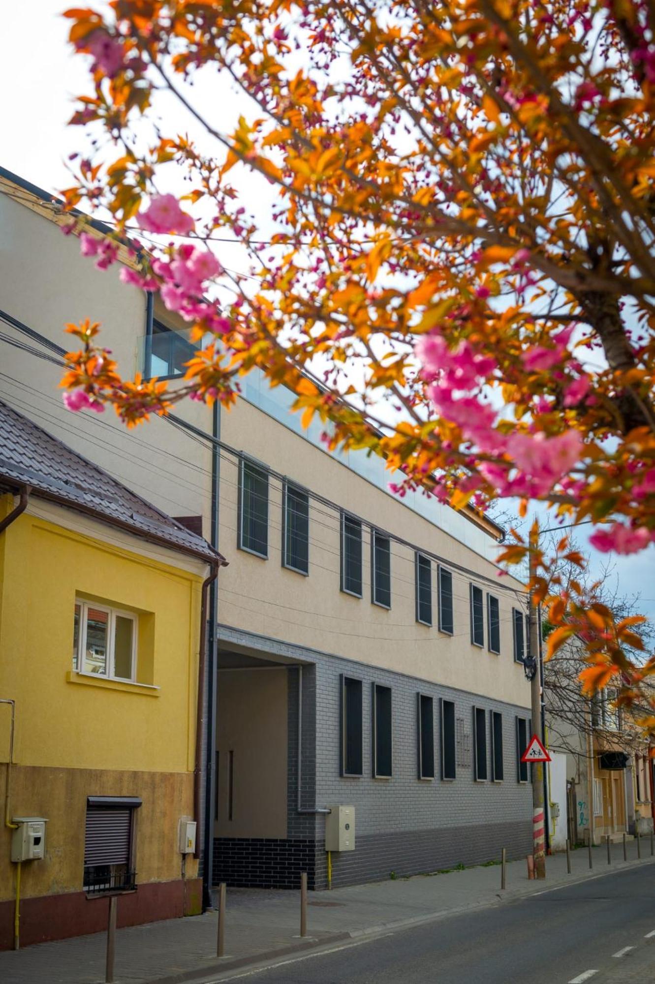 H11 Downtown Apartments Târgu-Mureş エクステリア 写真